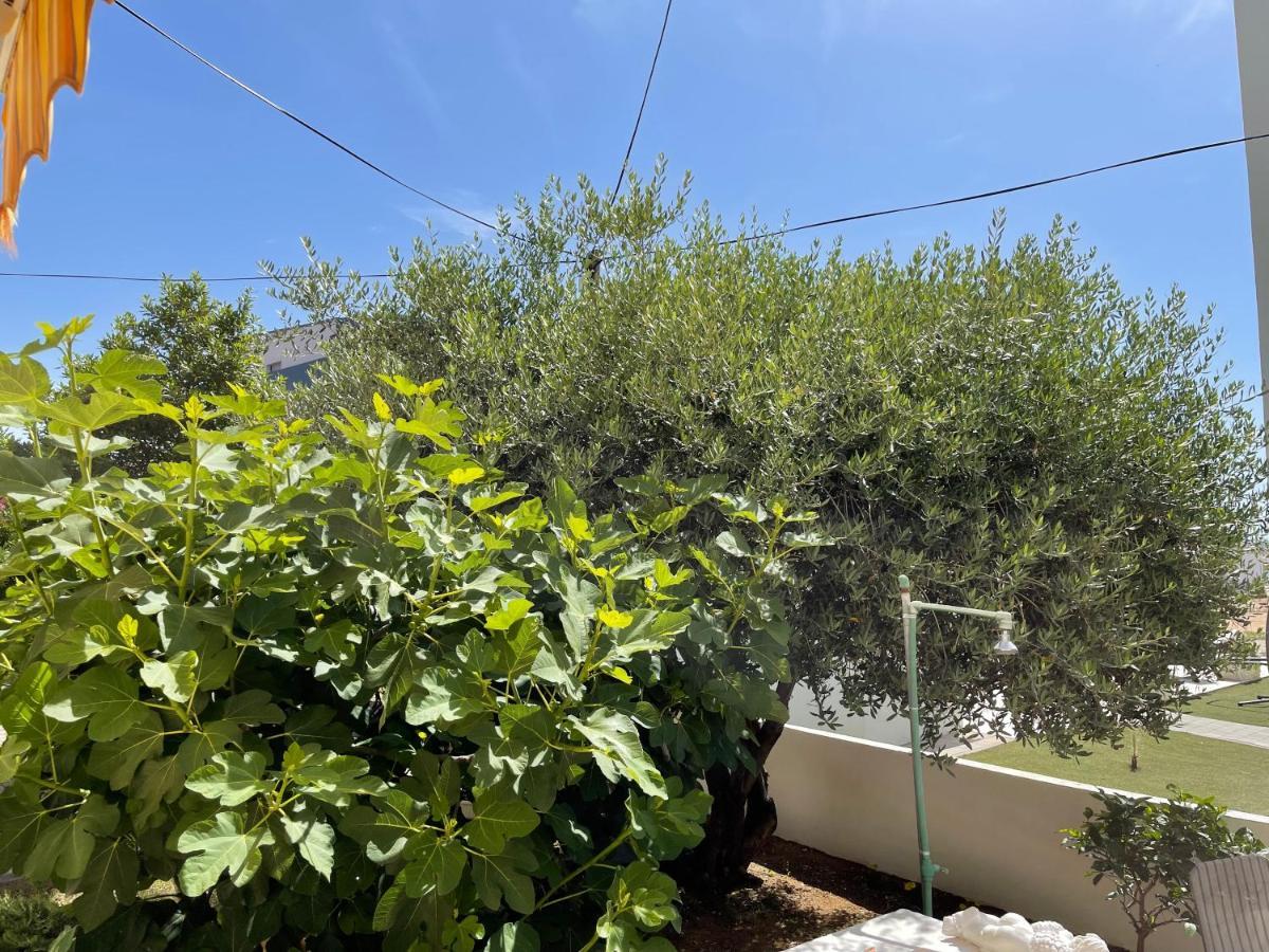 Apartments Villa Engeli Vir Εξωτερικό φωτογραφία